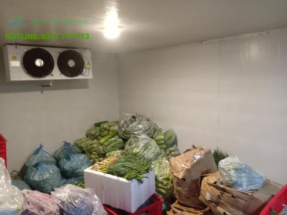 Lắp đặt kho lạnh bảo quản rau xanh ở Hà Nam