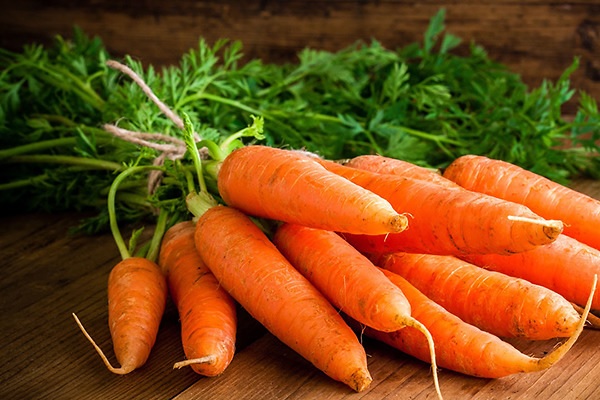 Kho lạnh bảo quản cà rốt